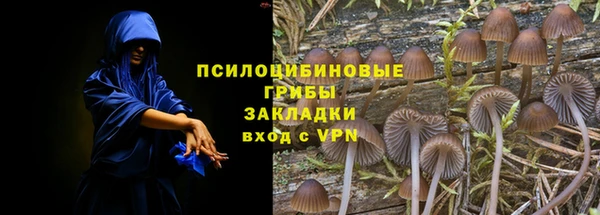дживик Майский